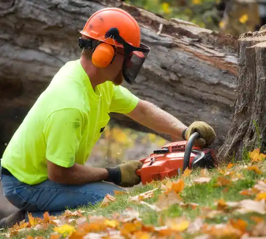 tree services Laddonia